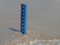 Update Status TMA Bengawan Solo || Kamis (25/02) Pukul 12.00 WIB   