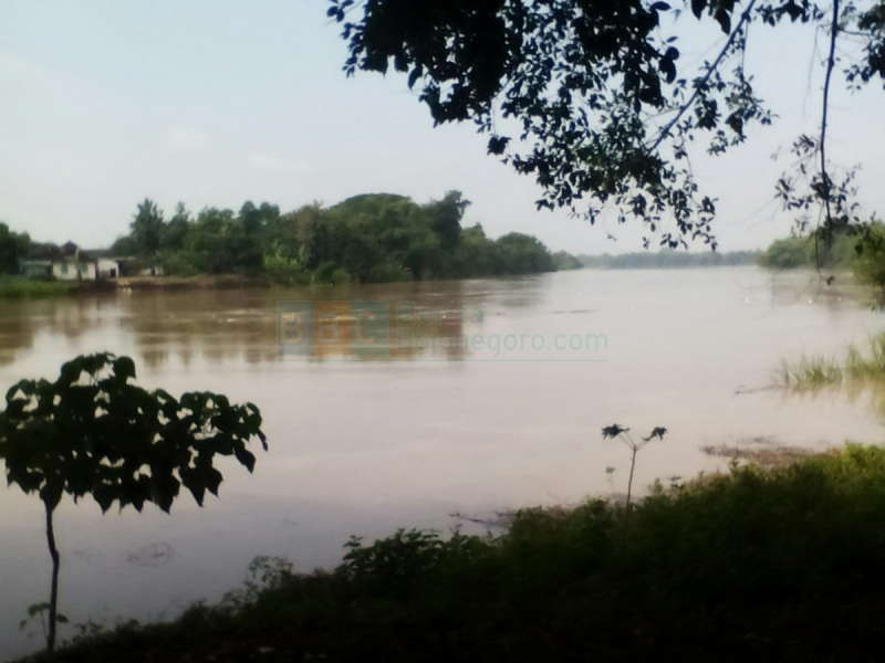 Update Status TMA Bengawan Solo || Kamis (25/02) Pukul 18.00 WIB