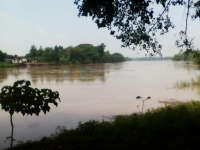 Update Status TMA Bengawan Solo || Kamis (25/02) Pukul 18.00 WIB