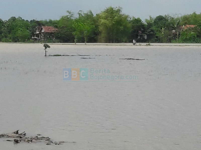 Update Status TMA Bengawan Solo || Kamis (25/02) Pukul 15.00 WIB