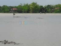 Update Status TMA Bengawan Solo || Kamis (25/02) Pukul 15.00 WIB