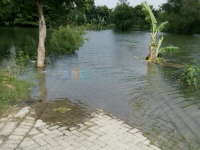  Update Status TMA Bengawan Solo || Kamis (25/02) Pukul 21.00 WIB