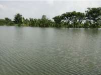 Update Status TMA Bengawan Solo || Jum'at (26/02) Pukul 09.00 WIB