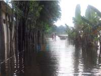 Dusun Mojopencol Dikepung Banjir Luapan Bengawan Solo 
