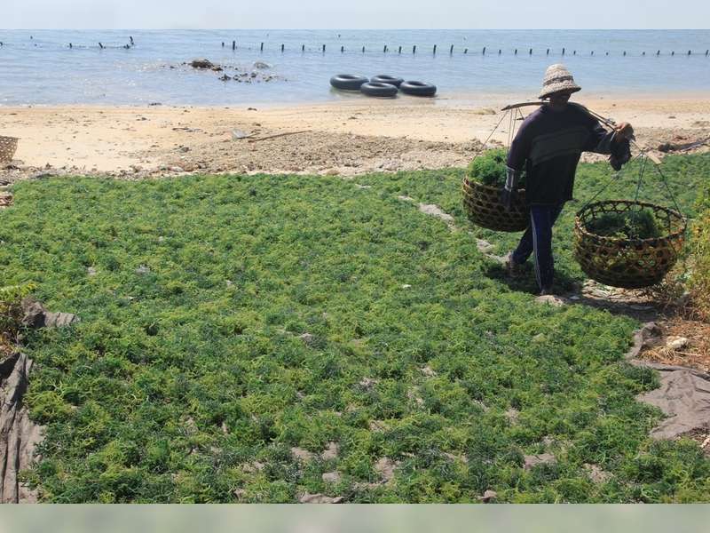 Disnaker Bakal Survei Usaha PT Prisma di Maluku