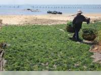 Disnaker Bakal Survei Usaha PT Prisma di Maluku