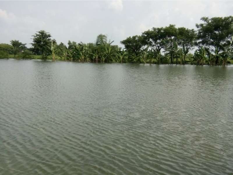 Update Status TMA Bengawan Solo || Minggu (28/02) Pukul 18.00 WIB