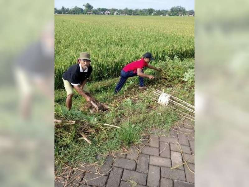 EMCL dan Kartar Sudu Tanam 1.500 Pohon 