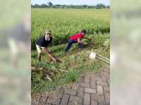 EMCL dan Kartar Sudu Tanam 1.500 Pohon 