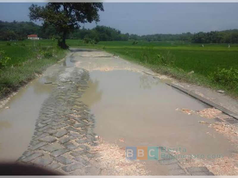 Jalan Poros Desa di Menilo (Soko) Rusak Parah, Warga  Merasa Resah