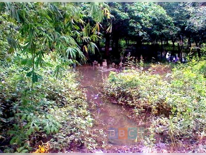 Makam di Desa Ngulanan Tergenang Air