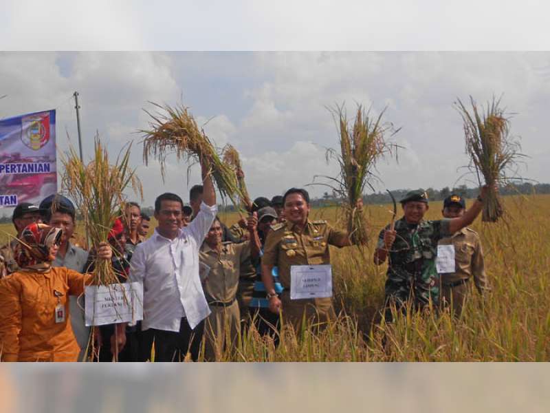 Mentan RI Andi Amran  Kunjungi Bojonegoro Sabtu Besok