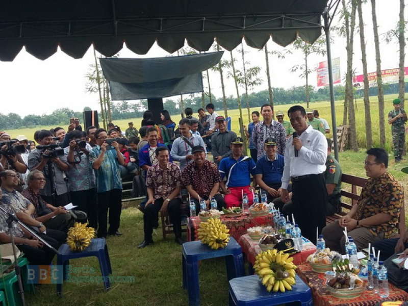 Menteri Pertanian Minta Bulog Membeli Gabah Petani Bojonegoro