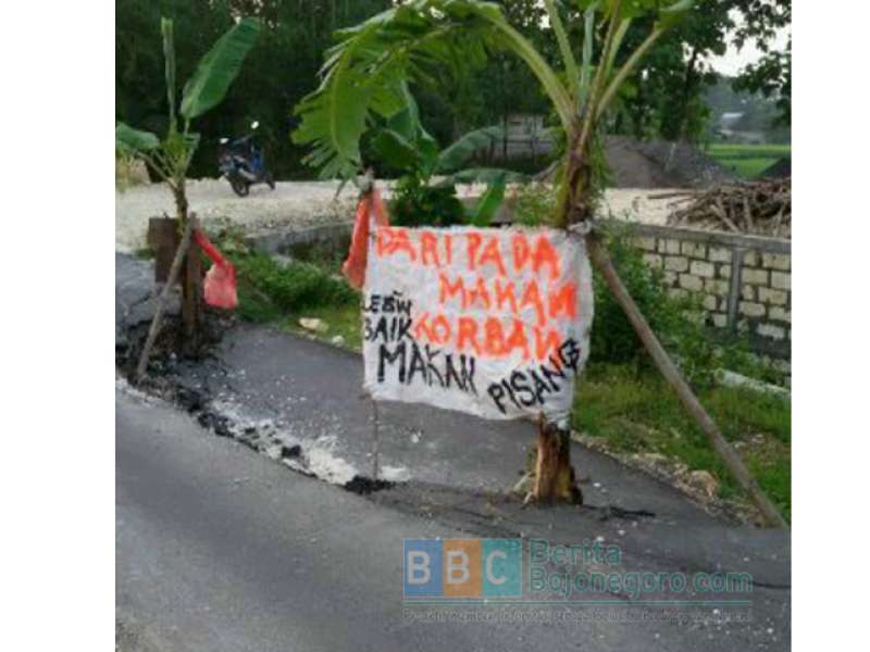 Jalan Poros Desa Rusak, Warga Bangunrejo Tanam Pohon Pisang di Tengahnya