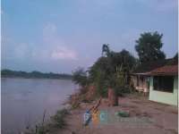 Longsor oleh Arus Bengawan, Sudah 7 Rumah yang Pindah