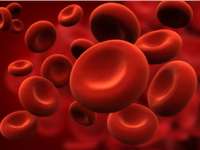 Permintaan Trombosit di PMI Menurun, Sehari 5 Kantong