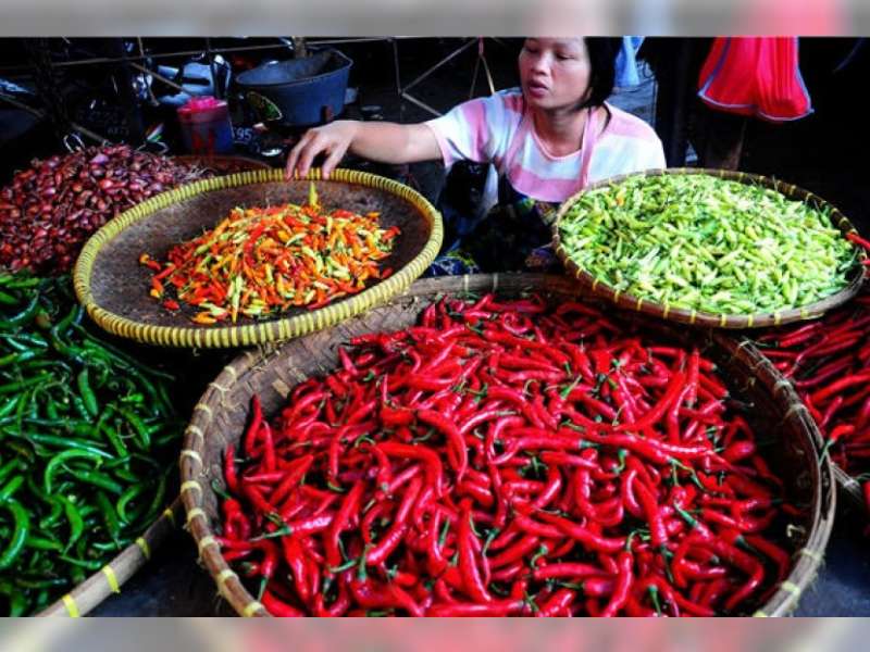 Harga Cabai Merah di Kapas Berangsur Turun