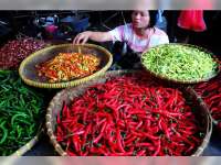 Harga Cabai Merah di Kapas Berangsur Turun
