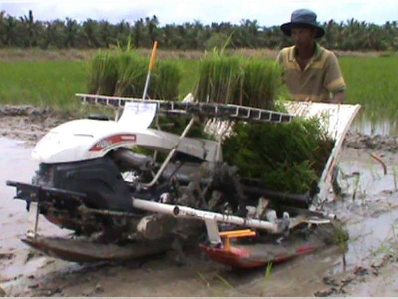 Dinas Pertanian Akan Bagikan 56 Unit Mesin Tanam Padi 