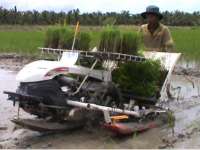 Dinas Pertanian Akan Bagikan 56 Unit Mesin Tanam Padi 