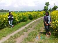 Isi Akhir Pekan dengan Foto Selfie Berlatar Bunga Kenikir