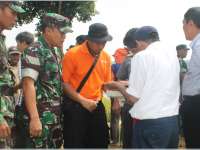 Percepat Penyerapan, Bulog Beli Gabah Langsung ke Petani