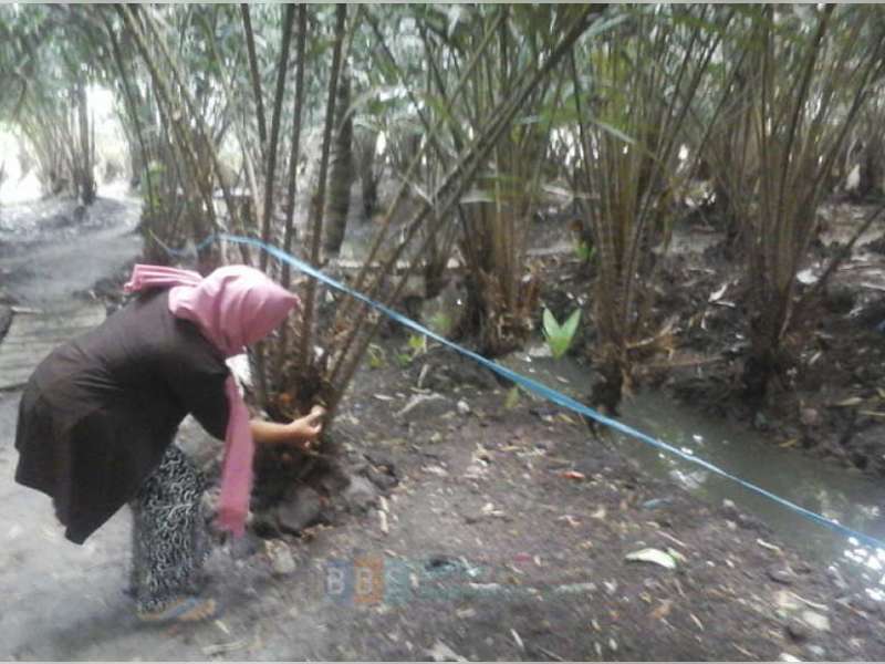Agrowisata Salak Tanjungharjo Masih Butuh Banyak Prasarana