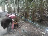 Agrowisata Salak Tanjungharjo Masih Butuh Banyak Prasarana