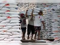 Banjir Tidak Pengaruhi Serapan Beras Bulog 