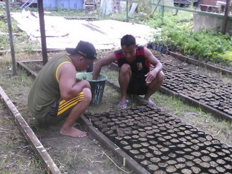 Kodim 0813 Lakukan Pembibitan 5.000 Pohon