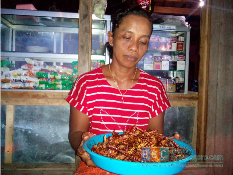 Konsumsi Nasi Walang Bisa Menguatkan Daya Tahan Tubuh