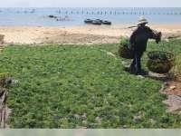 24 Calon Tenaga Kerja PT Prisma Ikuti Pelatihan di Banyuwangi 