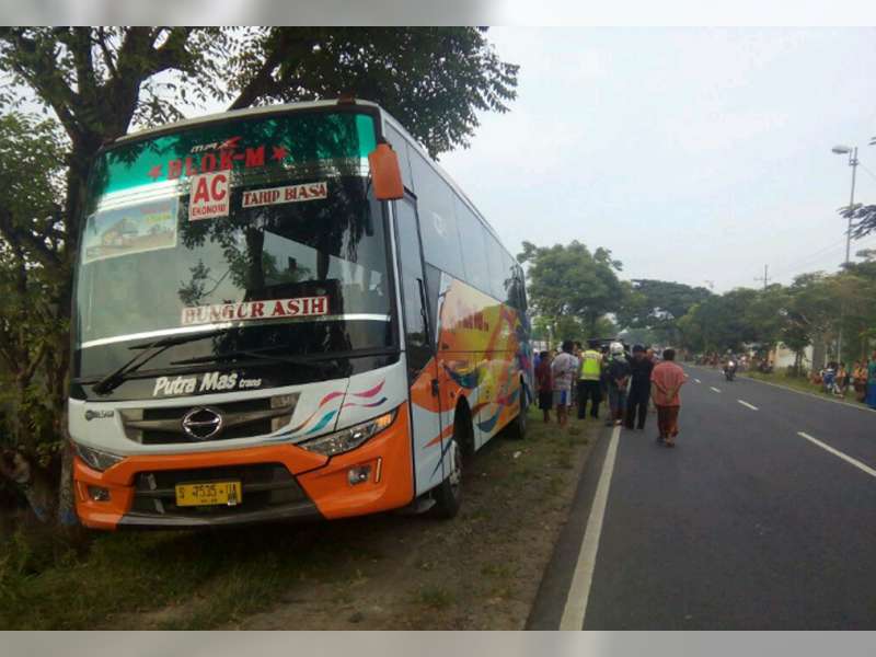 Kurang Hati-Hati Menyeberang, Pengendara Sepeda Pancal Disruduk Bus 