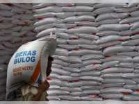 Tiap Bulan Bulog Bagikan 1.775 Ton Beras Sejahtera 