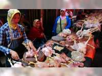 Harga Daging Ayam Merangkak Naik 