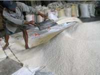 Musim Panen, Harga Beras Cenderung Menurun