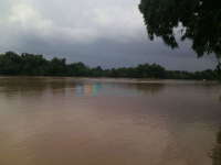 Hati-Hati, Air Bengawan Solo Banyak Mengandung Phenol dan Nitrit