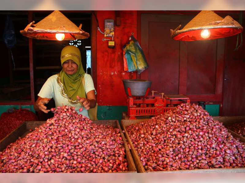 Kedungadem Panen, Harga Bawang Merah Tetap Melejit