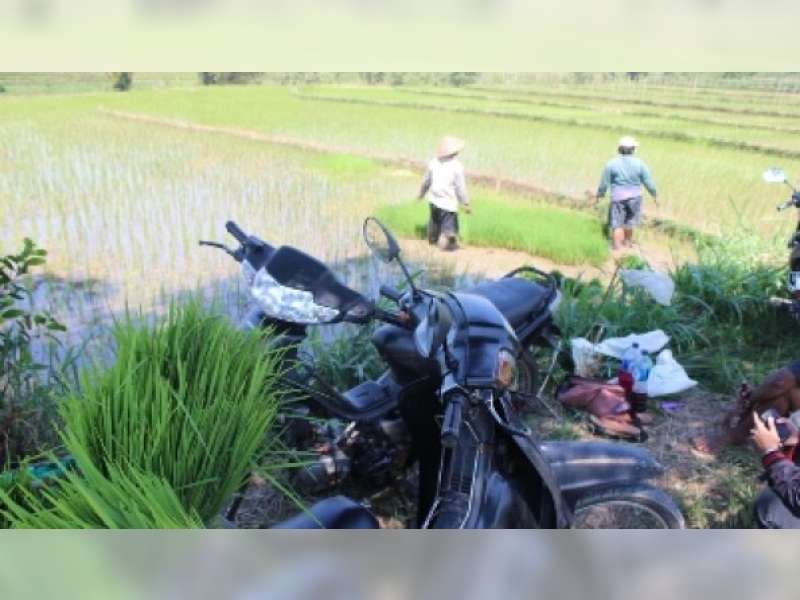 Diparkir Pinggir Sawah, Sepeda Motor Raib 