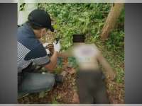 Berangkat Cari Kayu Bakar di Hutan, Seorang Lelaki Ditemukan Tergeletak Tak Bernyawa