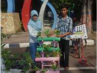 Hidroponik : Banyak Kelebihannya, Namun Belum Populer