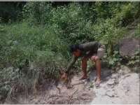 Dulu Dimanfaatkan untuk Menyalakan Lampu Teplok