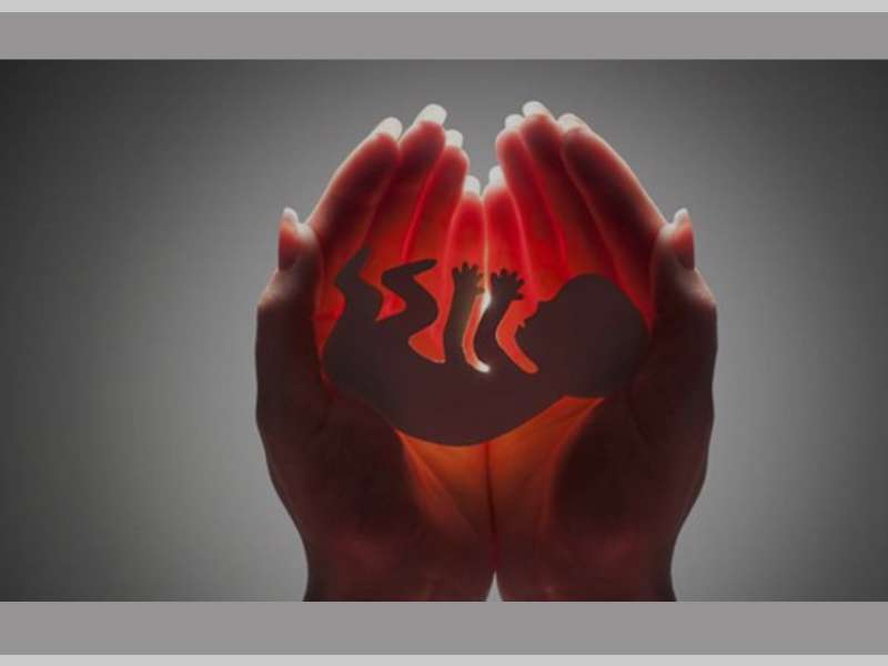 Seorang Nenek Temukan Mayat Bayi di Dapur Rumahnya