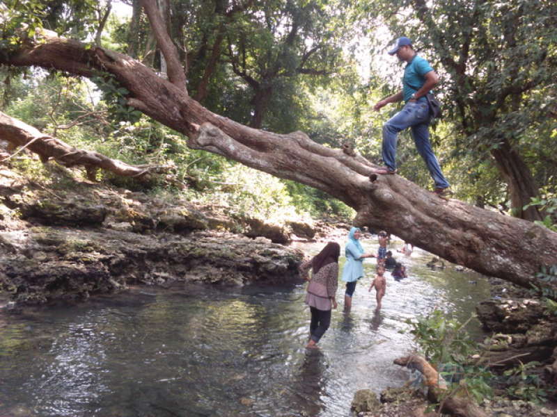 Wisata Ngintir Desa Ngunut Tetap Diminati