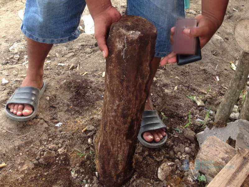 Batu Diduga Fosil Ditemukan di Kecamatan Gayam