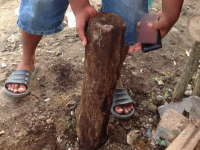 Batu Diduga Fosil Ditemukan di Kecamatan Gayam