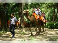 Asyiknya Liburan di Surabaya 