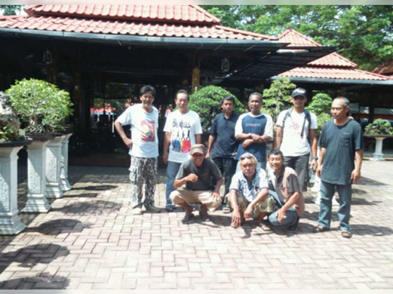 Tegaskan Eksistensi, Para Pencinta Bonsai Bojonegoro Gelar Pameran