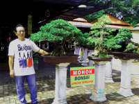 Bukan Sekadar Hobi, Bonsai Jadi Sumber Inspirasi dan Melatih Kesabaran