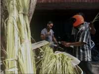 Pedagang Janur Andalkan Pasokan dari Luar Bojonegoro